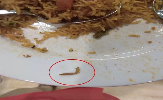 Caterpillar Found In Veg Biryani At Ikea Hyderabad - Sakshi