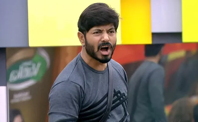 Conspiracy On Kaushal in Bigg Boss? - Sakshi