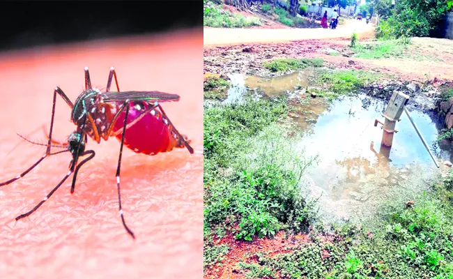 Mosquitoes In Krishna Villages - Sakshi