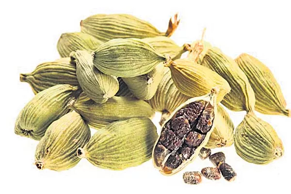 Benefits with cardamom  - Sakshi