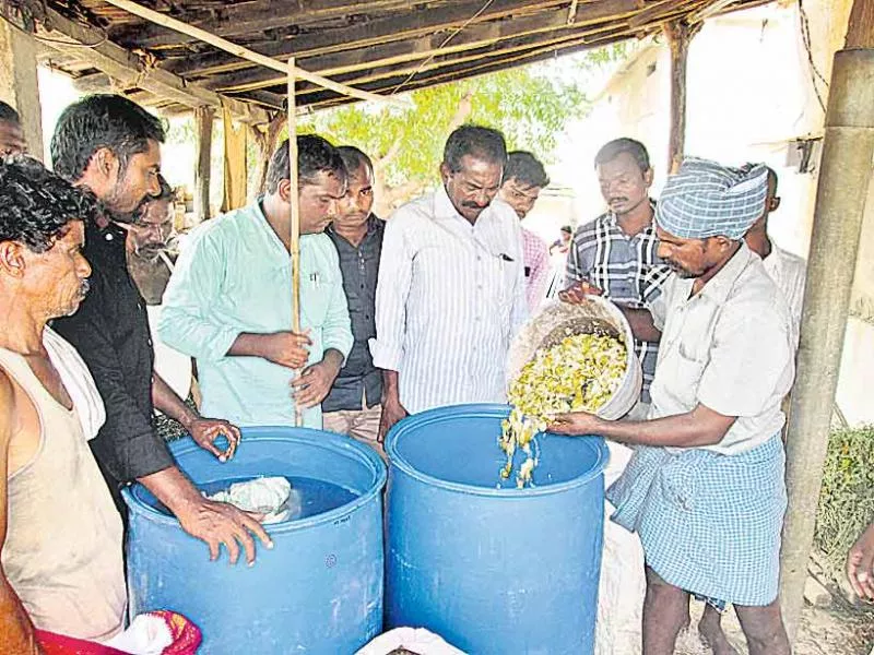 Pistol war on worms! - Sakshi