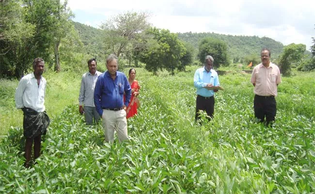 Land Distribution Scheme Not Implemented Adilabad - Sakshi