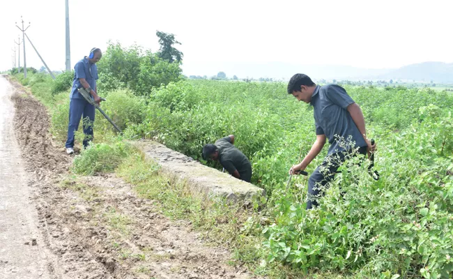 Police Combing Operation In Adilabad Agency Area - Sakshi