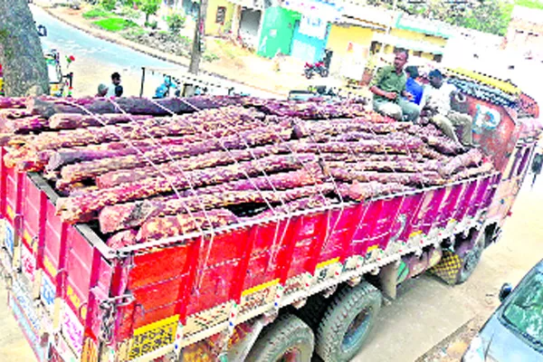 Red Sandalwood Illegal Transport In Kazipet - Sakshi