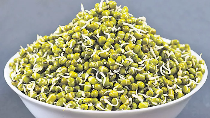 Eating sprouting grains is healthy - Sakshi