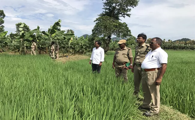 Elephants Attack On Villages Srikakulam - Sakshi