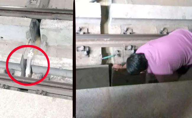 Metro Rail Stopped For 10 Minutes Due To Cat On The Track - Sakshi