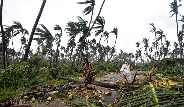 Andhra Pradesh: Cyclone 'Titli' leaves eight dead, causes widespread damage - Sakshi