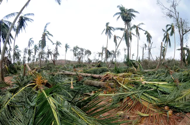 Titli Cyclone Hit Uddanam Region - Sakshi