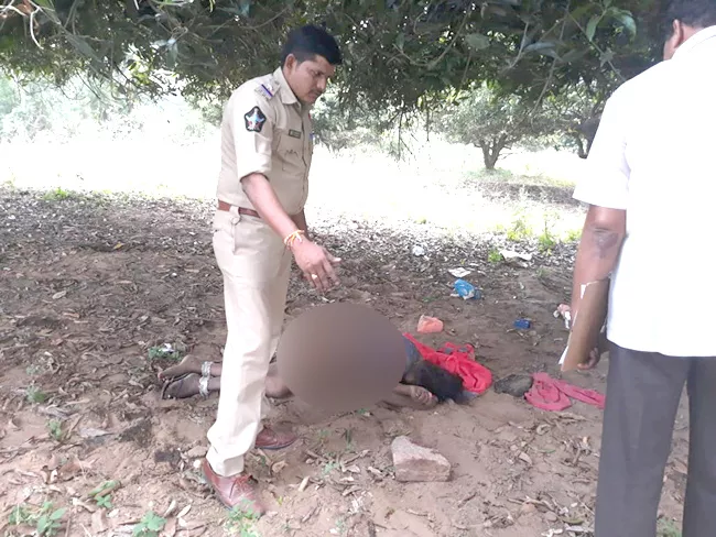 hijra brutal murder in krishna district - Sakshi