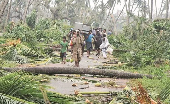 AP IAS Officers Donation To Titli Victims - Sakshi