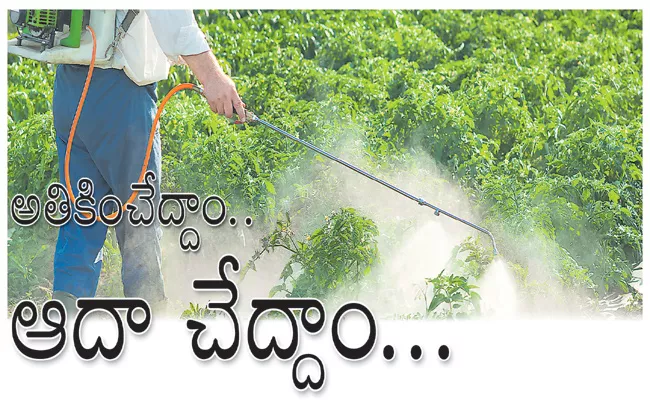 Krupa Varanasi Making Wonders With Chemical Fertilizers - Sakshi