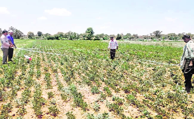 Kharif Season Made Farmers Tears In Kurnool - Sakshi