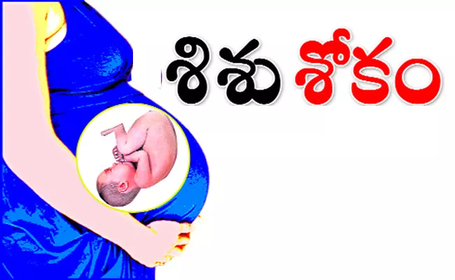 Doctors Scarcity In Government Hospitals For Deliveries - Sakshi