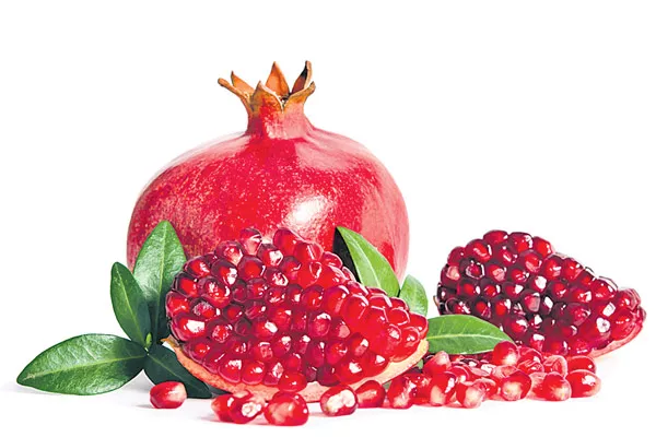 Pomegranate fruit is a Natural Medical Kit - Sakshi