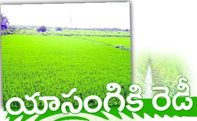 Fertilizer Supply Agriculture Department Khammam - Sakshi