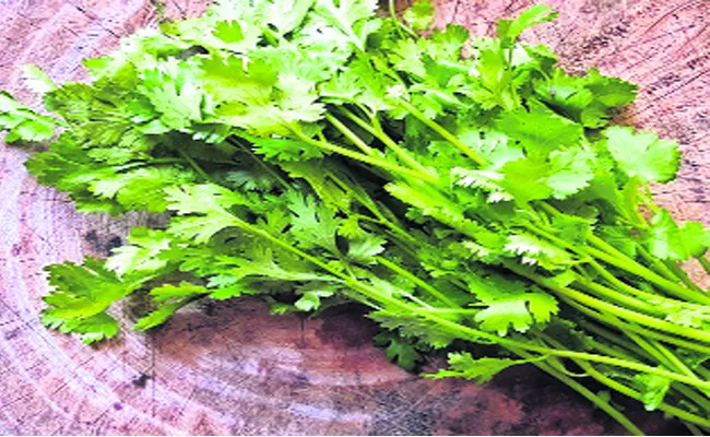 Coriander Prices Hikes In Karnataka - Sakshi