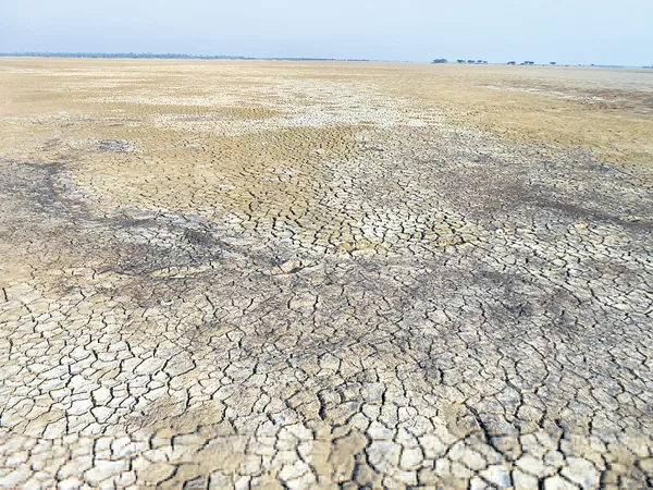 Drought conditions in 17 districts - Sakshi