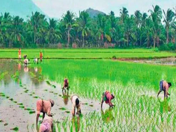 Crop Insurance premium to pay definitely - Sakshi