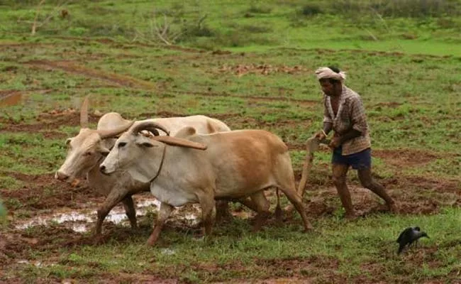 Farming Ready To Rabi Crops Warangal - Sakshi