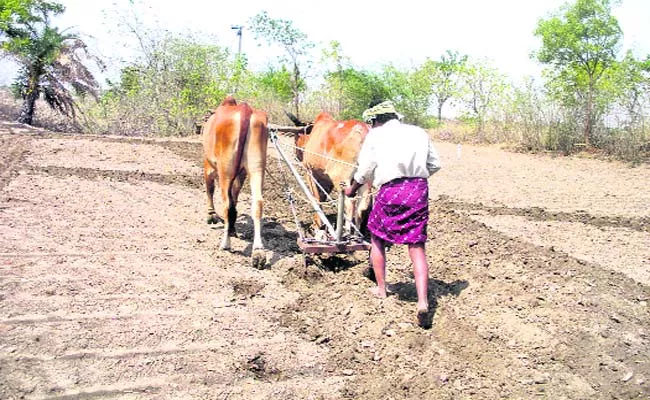 Trails Agriculture Development Aerys Warangal - Sakshi