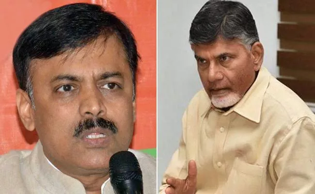 GVL Narasimharao Fires On ChandraBabu Over Center Funds - Sakshi