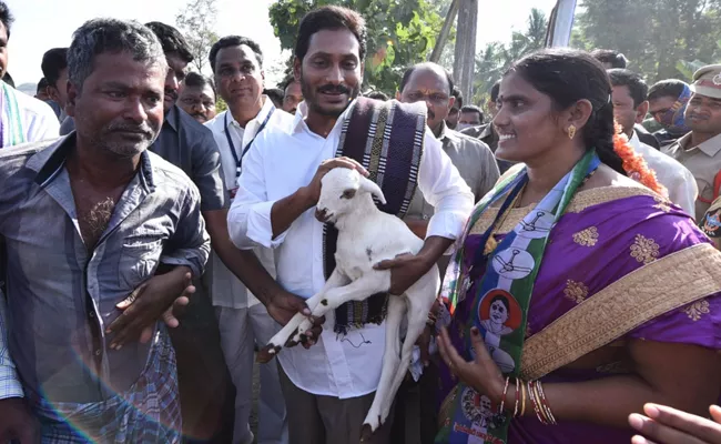 YS Jagan Padayatra Successfully Run In Saluru - Sakshi