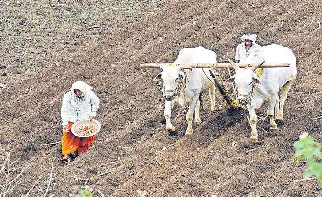 Government Policies Are Noun About Agriculture And Farmers - Sakshi