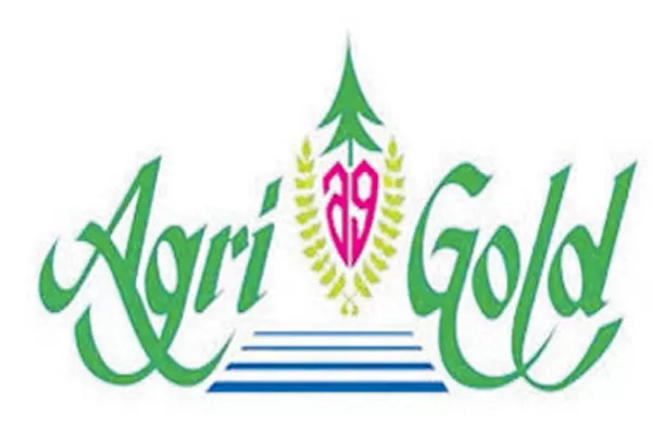 High Court fires on CID investigation about Agrigold case - Sakshi