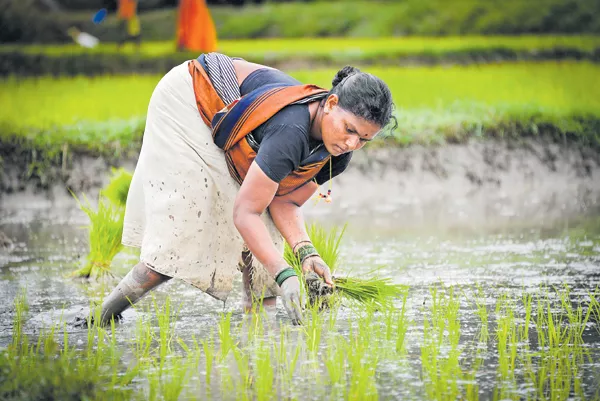 Farmer co-ordination committees To train the farmers towards TRS - Sakshi