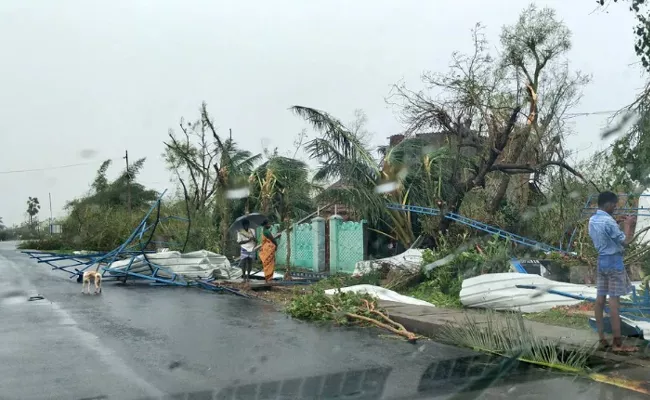 Fourty Five People Died In Cyclone of Gaja Till Now In Tamilnadu - Sakshi