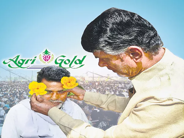 Chandrababu Back Step on legal proceedings about Agrigold Issue - Sakshi