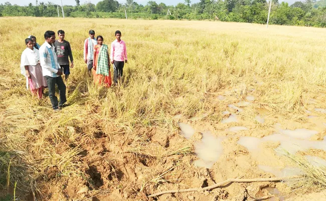 Elephants Attacks in Srikakulam - Sakshi