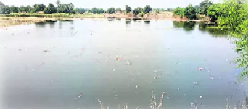 Rivers Are Filled With Mid Maneru Water - Sakshi