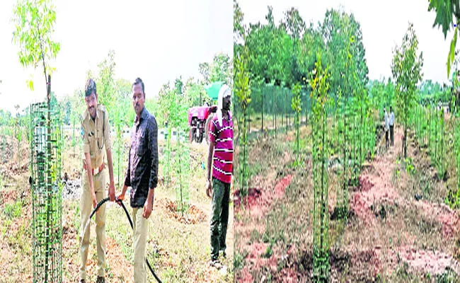 Planting Trees Along Road Sides - Sakshi