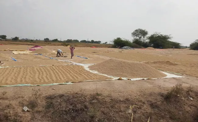 Rice Bowl Of Telangana 'Jagtial' In Ripe Grain Milling Problem - Sakshi