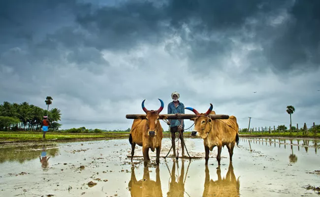 Farmers Against to the TDP Government On Beema  - Sakshi