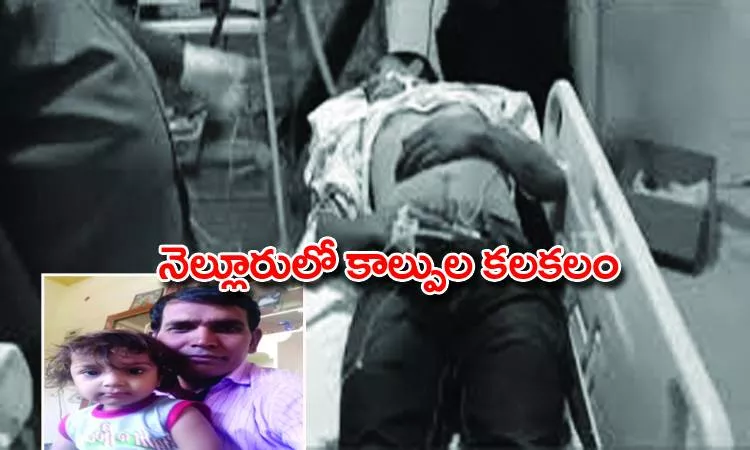 gun shooting in nellore - Sakshi