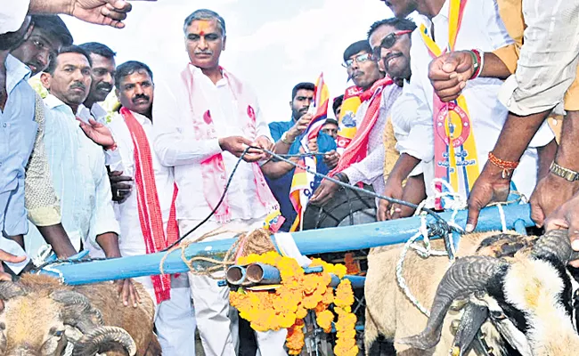 Harish Rao Fires On Chandrababu Naidu - Sakshi