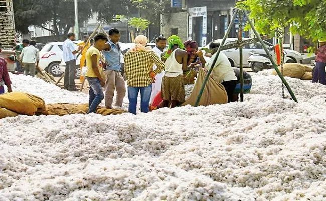 CCI Is Ready To Cotton Purchases Centers Karimnagar - Sakshi