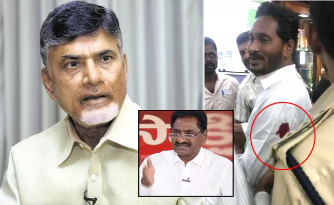 Chandrababu Plot Behind Attack On YS Jagan - Sakshi