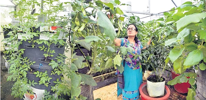 Address to High Tech Seed on home crops - Sakshi