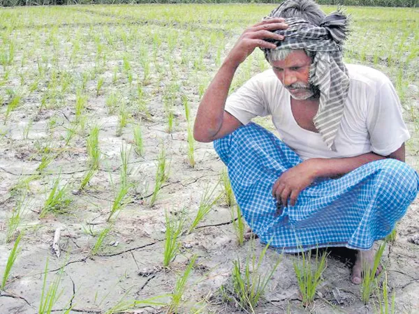 Cost of farmers loss is 10,000 crores  - Sakshi