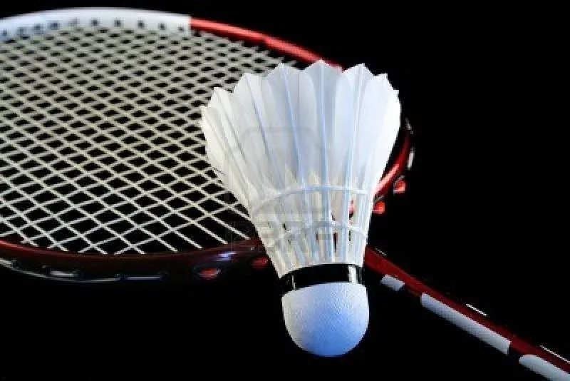 State-level Badminton Competitions,Warnagal - Sakshi