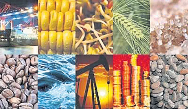 Commodity trading time has increased - Sakshi