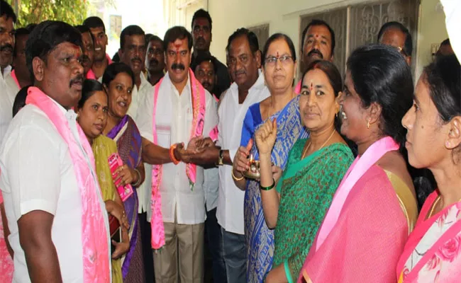 TRS Candidate Dasyam Vinay baskar Election Campaign In Warangal - Sakshi