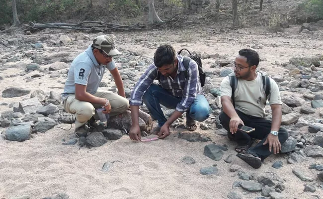 Tiger Wander In Jannaram Area - Sakshi