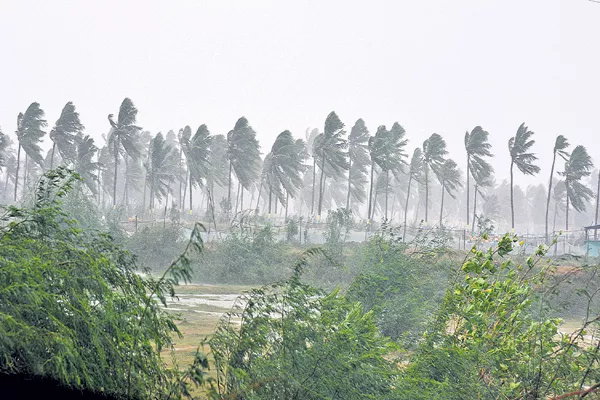 Pethay cyclone Specialization - Sakshi