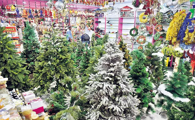 Christmas Tree Celebrations Special Story - Sakshi