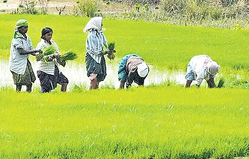  Chhattisgarh CM Bhupesh Baghel waives off farmers loans - Sakshi